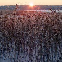 Ośrodek wypoczynkowy Mazury jeziora mazurskie Krutyń wypoczynek w Polsce